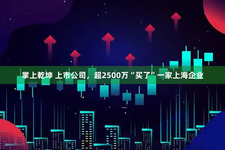 掌上乾坤 上市公司，超2500万“买了”一家上海企业