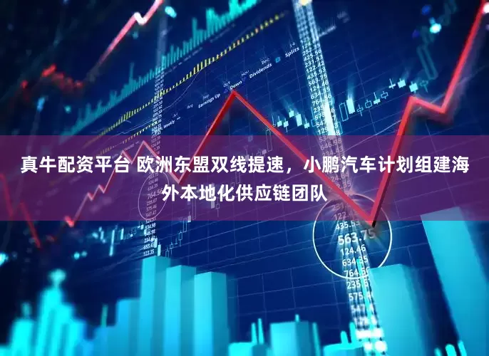 真牛配资平台 欧洲东盟双线提速，小鹏汽车计划组建海外本地化供应链团队